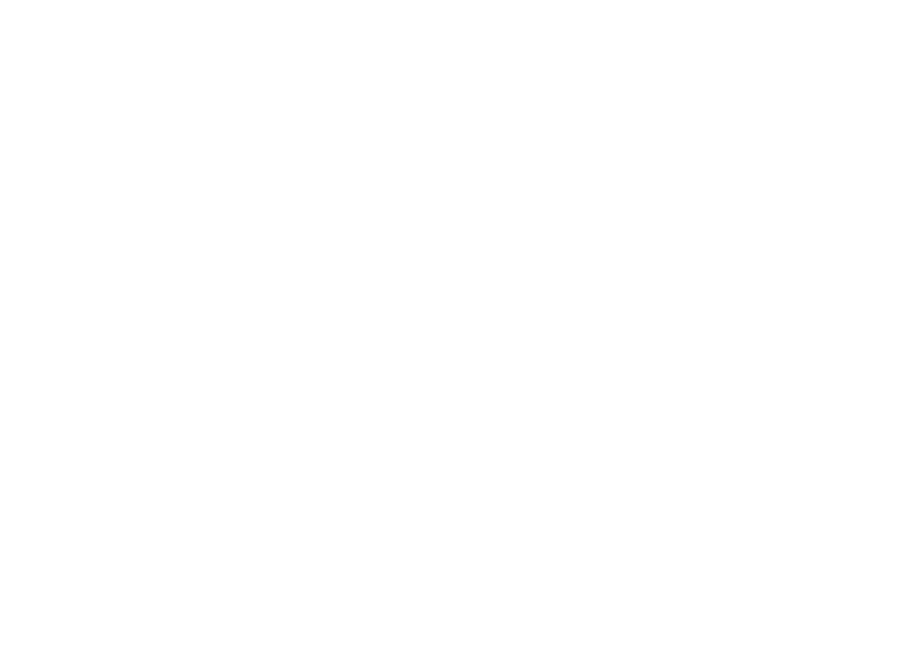 NeuroFly Logo